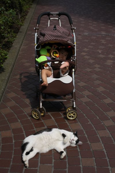 寝そべるネコとツーショット